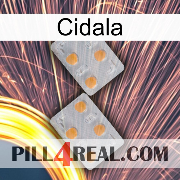 Cidala 25.jpg